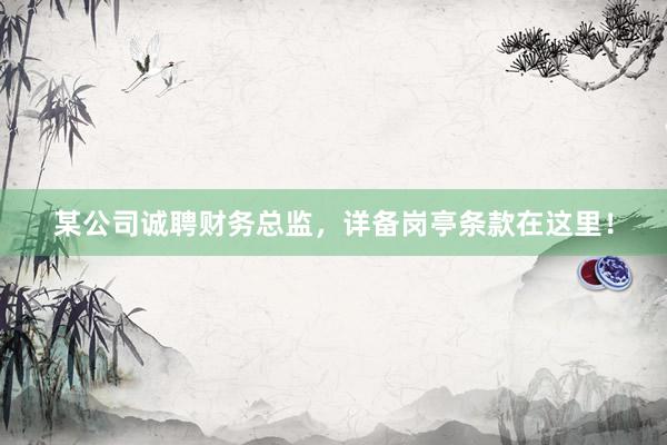 某公司诚聘财务总监，详备岗亭条款在这里！