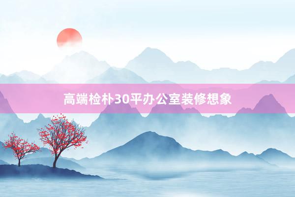 高端检朴30平办公室装修想象