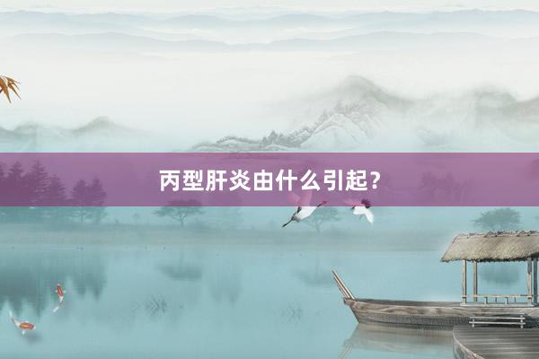 丙型肝炎由什么引起？